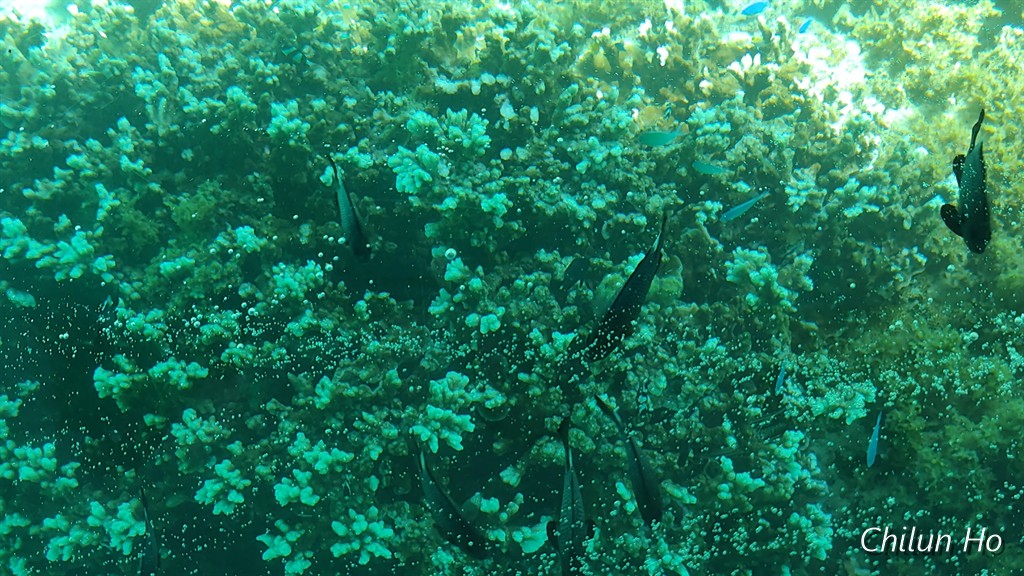 玉城玉城